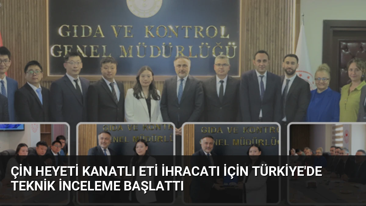 Çin Heyeti Kanatlı Eti İhracatı İçin Türkiye’de Teknik İnceleme Başlattı