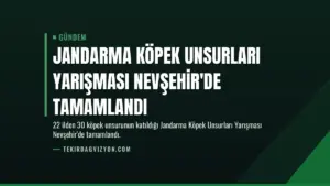 Jandarma Köpek Unsurları Yarışması Nevşehir'de Tamamlandı
