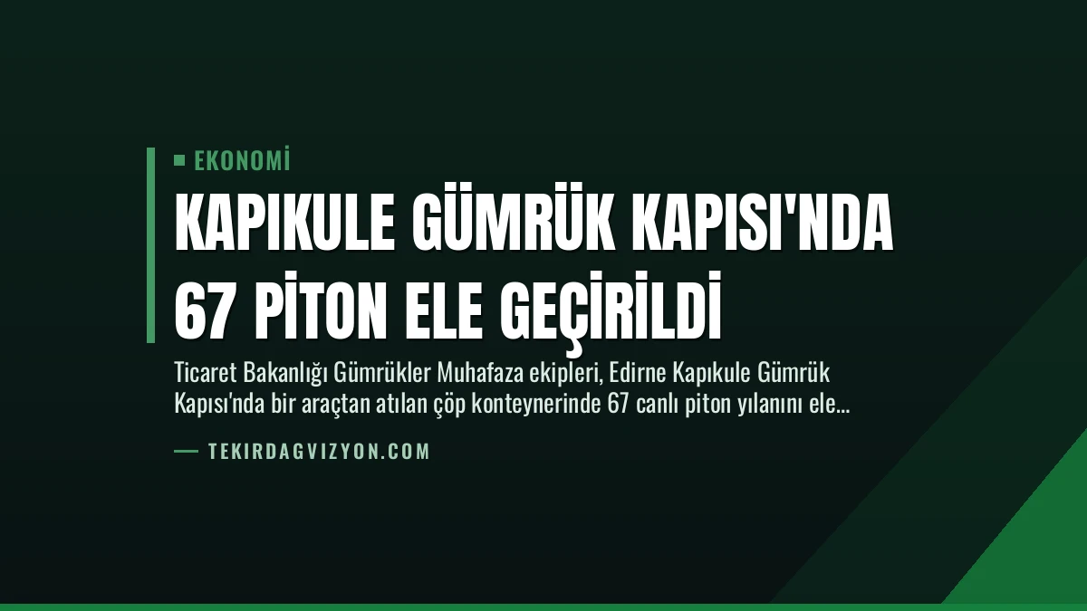 Kapıkule Gümrük Kapısı’nda 67 Piton Ele Geçirildi