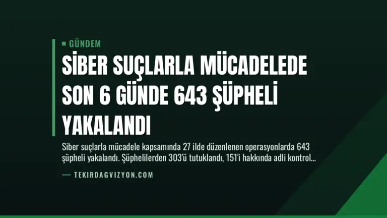 Siber Suçlarla Mücadelede Son 6 Günde 643 Şüpheli Yakalandı