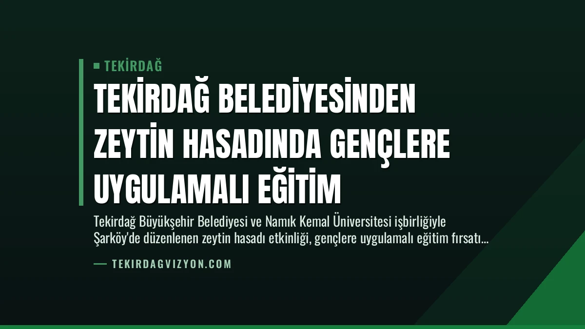 Tekirdağ Belediyesinden Zeytin Hasadında Gençlere Uygulamalı Eğitim